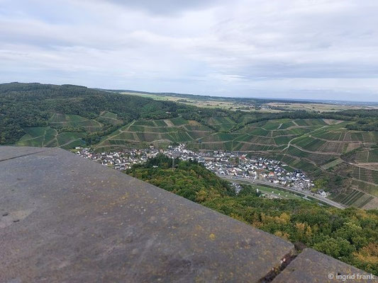 Blick vom Krausbergturm auf Dernau