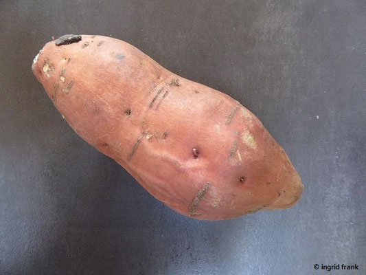 Ipomoea batatas / Süßkartoffel, Batate