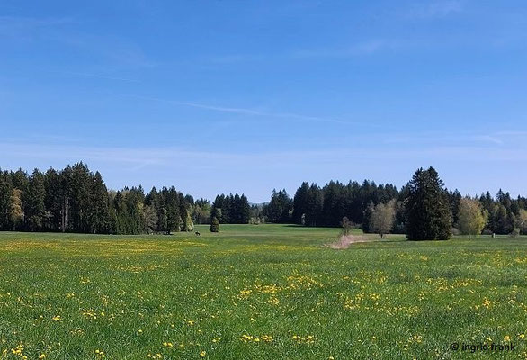 NSG Bodenmöser
