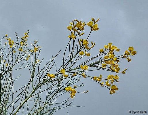 28.09.2025; Sizilien, Ätna