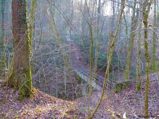 Baienbacher Tobel mit Kirchweg bei Staig