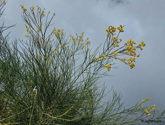 28.09.2025; Sizilien, Ätna