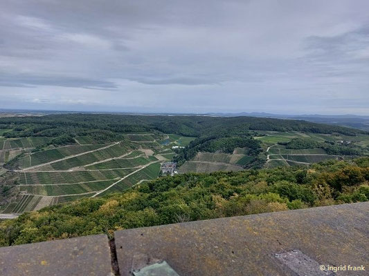 Blick vom Krausbergturm auf Kloster Marienthal