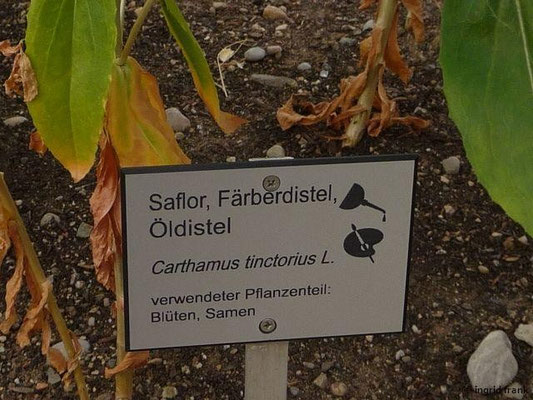28.06.2014 - Ausstellung 500 Jahre Konstanzer Konzil: mittelalterlicher Kräutergarten