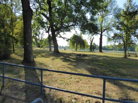 Strandbad Neckarau, Blick rheinaufwärts