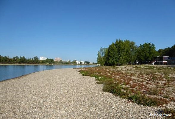 Strandbad Neckarau, Blick rheinabwärts