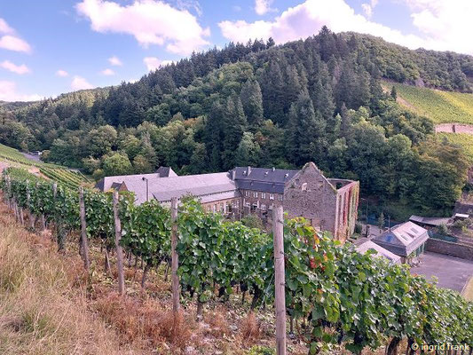 Kloster Marienthal