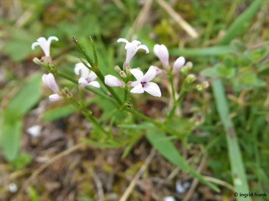 25.08.2020; NSG Digelfeld