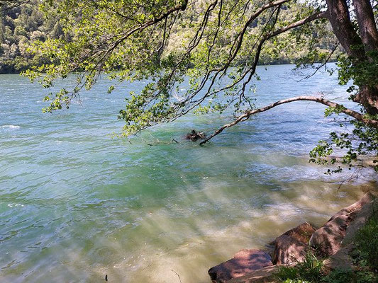 Am Lago die Levico