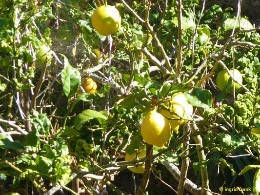 16.02.2020 - Gran Canaria