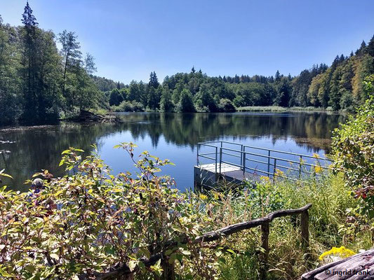 Bademöglichkeit im Unteren Abgebrochenen Weiher
