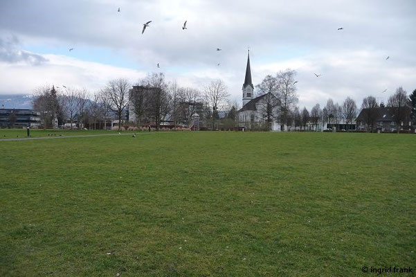 Blick auf Hard vom Bodenseeufer her gesehen