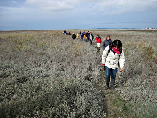 Traversée de la Baie avec votre guide nature
