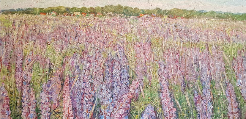 lupine field, Alexandr Zlatkin, 2015, Öl, Leinwand, 50x100, ID1151