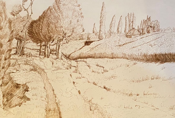 Landschaft, Shihab Vaippipadath, undatiert, Zeichnung, Papier, 63x44cm, ID1746