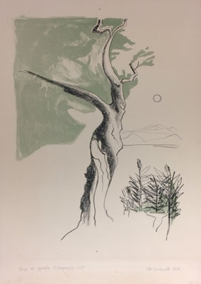 Lago di Garda, Otto Eberhardt, 1965, Lithografie, Papier, 31x41, ID1244