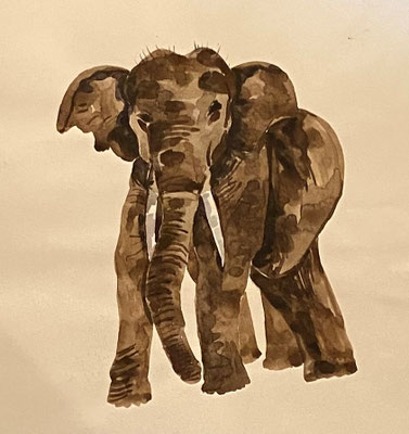 Elefant, Shihab Vaippipadath, undatiert, Aquarell, Papier, 21x27cm, ID1752