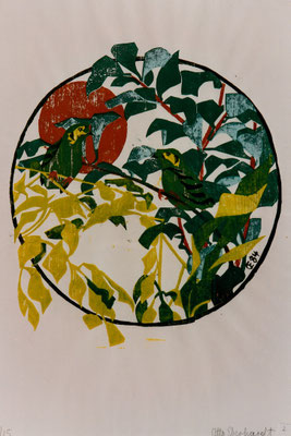 Smaragdbreitschnabel, Otto Eberhardt, 1984, Holzschnitt, Papier, 53x83cm, ID1252