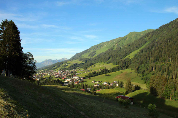 Gästehaus Wiesengrund, Riezlern im Kleinwalsertal, Ferienwohnungen mit Frühstück, Michi Heim