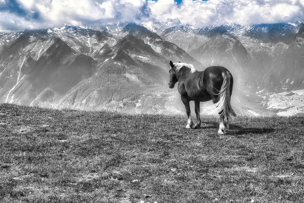 Karl-Hans Heckenberger