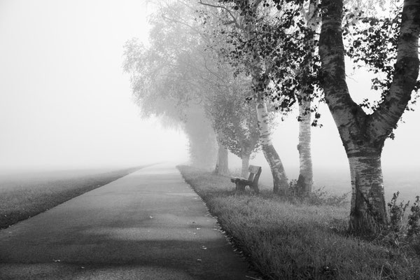 Uwe Ries