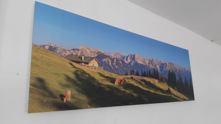 Panorama wandbild Dibond Alm