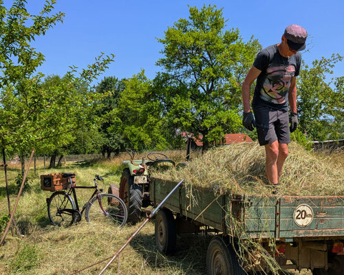 Foto: Wildbrenner