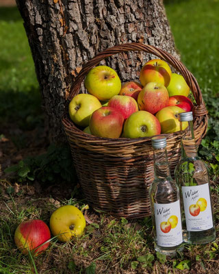 Foto: Wildbrenner