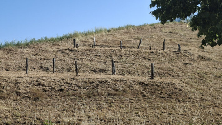 24.06.2026, Foto: J.Baade