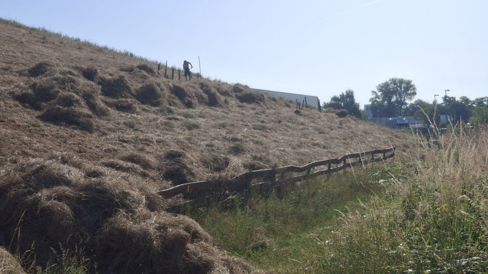 24.06.2026, Foto: J.Baade