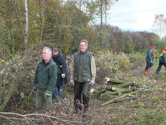 Schnittgut wird in die Hecke eingebaut, H.Willmes