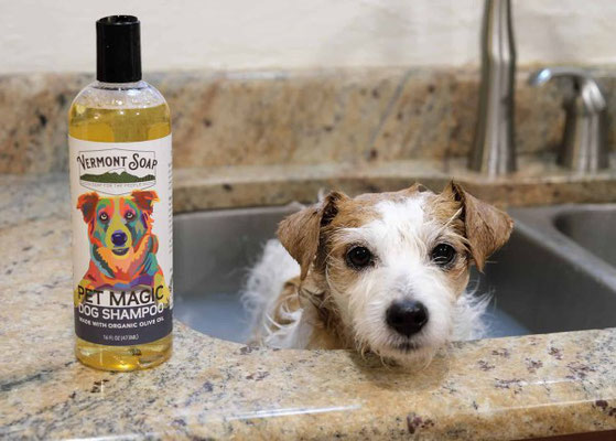 Live In The Light - Vermont Soap dog shampoo 