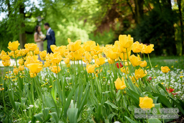 Fotograf für Hochzeit in Regensburg