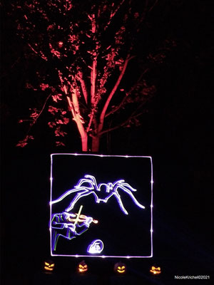 NKO Laser Halloween 12