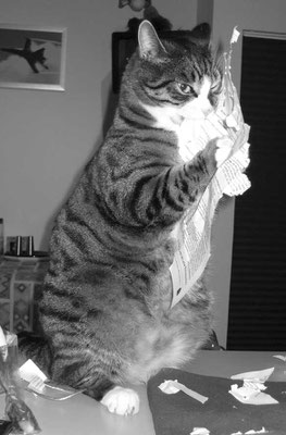 Schnugu 20.11.07