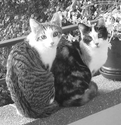 Zora und Jack 01.09.14
