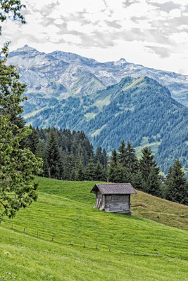 Hore-Sicht (Laufboden-, Wiss- und Mittaghore)