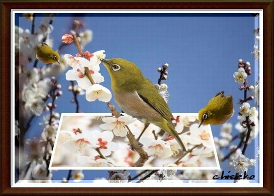 Photofiltre Pcart Chiseko ページ Photofiltre Pcart Chiseko ページ