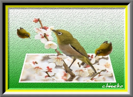 Photofiltre Pcart Chiseko ページ