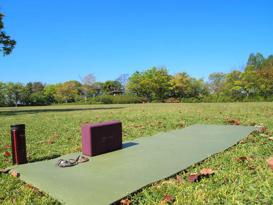 青空公園ヨガ