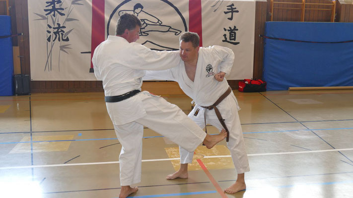 Mae-Geri Gedan, ebenfalls aus der Gekisai-Kata...