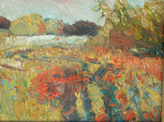 "Mohn bei Lehsten/Müritz", 2004, Öl/Leinwand, 50x60