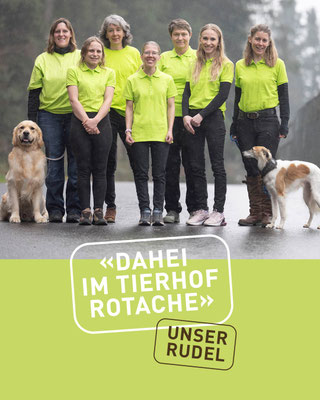 Teamfoto hinten von links nach rechts Michèle Habegger EFZ, Monika Glauser Tiercoiffeuse EFZ, Monika D`Incau Taxi und Mitarbeiterin, vorne rechts nach links Cyrine Falk EFZ, Berufsbildnerin, Prüfungsexpertin, Flavia Schenk KV, Anik Hediger Mitarbeiterin, 
