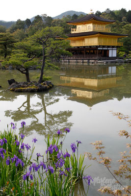 Kinkaku-ji tempel, Kyoto