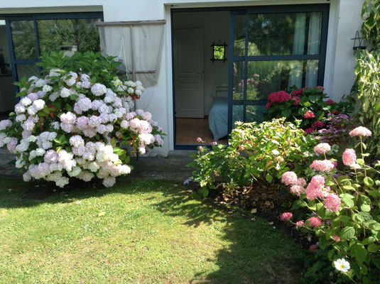 Jardin privatif très agréable fleuri en toutes  saisons Gîte 4* Entre Mer et Forêt Quend plage à côté de Fort Mahon Belle Dune  en bordure du Marquenterre Baies de Somme-Authie