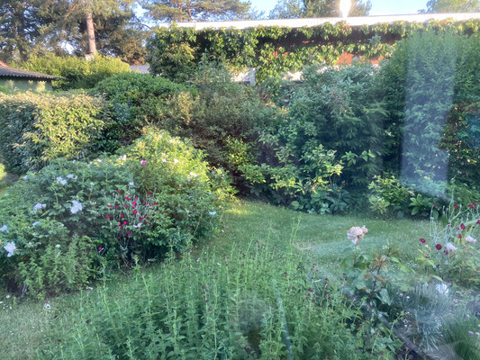 Vue de ma maison principale : votre intimité est préservée.