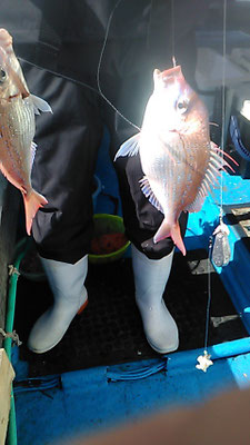 いっぺんに２枚釣れた！　お客さん大喜び。