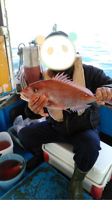 ５３㎝のタイが釣れました！！