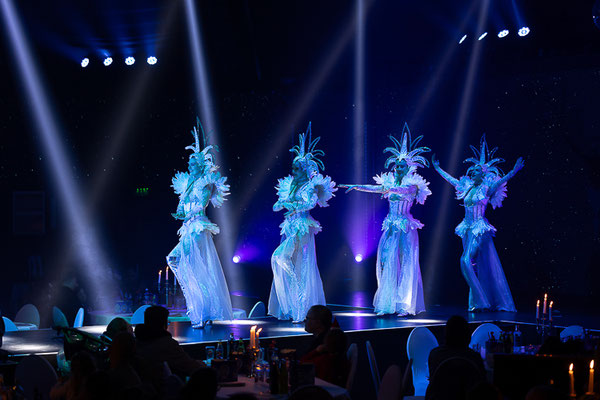 ventfotografie Showact Ballett blaues Licht Gala Rhein-Main, Eventfotograf Frankfurt