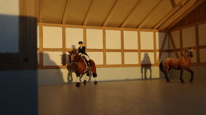 Ein toller Reitplatz- Im Maßstab von Bruder und Schleich